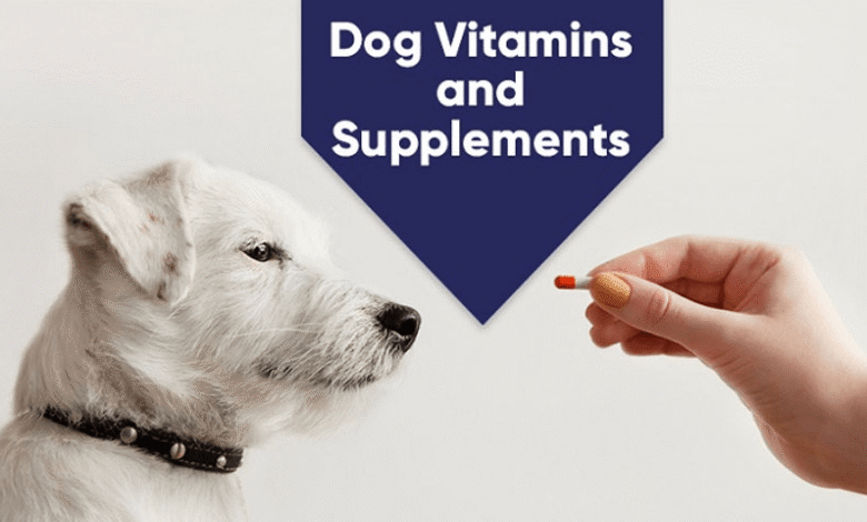 Pet Fountain Additives Are Vitamins and Flavors Safe for Pets